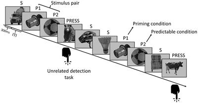 Gamma oscillations in visual statistical learning correlate with individual <mark class="highlighted">behavioral differences</mark>